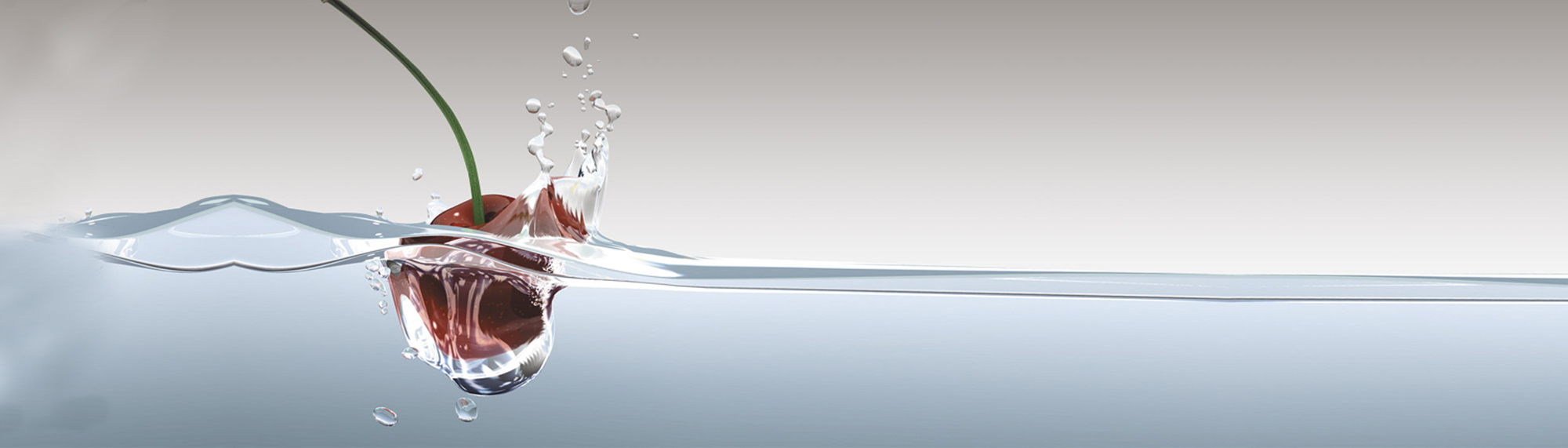 Caterers Auckland Auckland Catering Company Commercial Cater